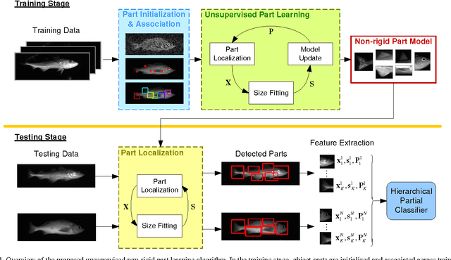 Figure 1 for A Feature Learning and Object Recognition Framework for Underwater Fish Images