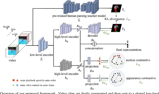 Figure 3 for Human-Centered Prior-Guided and Task-Dependent Multi-Task Representation Learning for Action Recognition Pre-Training