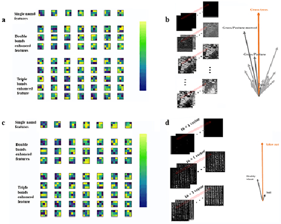 Figure 3 for A Biologically Interpretable Two-stage Deep Neural Network (BIT-DNN) For Hyperspectral Imagery Classification