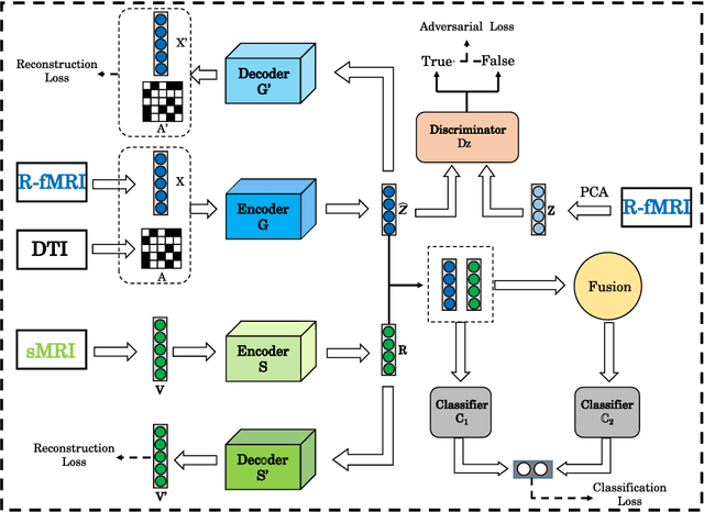 Figure 1 for Multimodal Representations Learning and Adversarial Hypergraph Fusion for Early Alzheimer's Disease Prediction