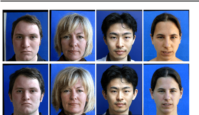 Figure 1 for What does 2D geometric information really tell us about 3D face shape?