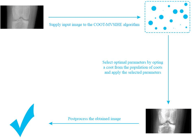 Figure 2 for Sub-Image Histogram Equalization using Coot Optimization Algorithm for Segmentation and Parameter Selection