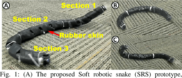 Figure 1 for Modeling and Validation of Soft Robotic Snake Locomotion