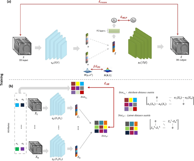 Figure 1 for Attri-VAE: attribute-based, disentangled and interpretable representations of medical images with variational autoencoders