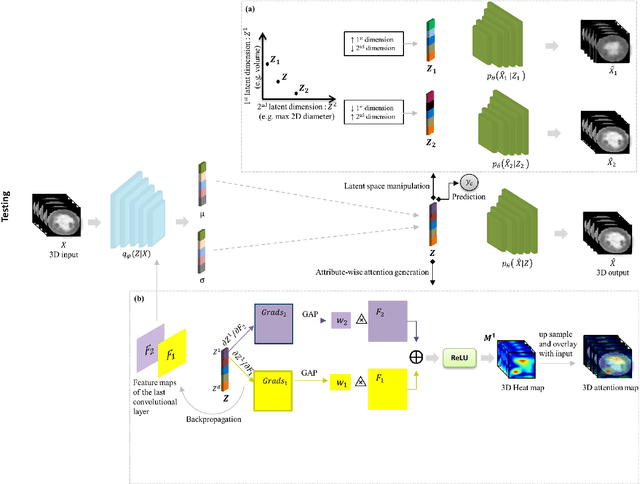 Figure 3 for Attri-VAE: attribute-based, disentangled and interpretable representations of medical images with variational autoencoders