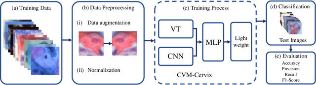 Figure 1 for CVM-Cervix: A Hybrid Cervical Pap-Smear Image Classification Framework Using CNN, Visual Transformer and Multilayer Perceptron