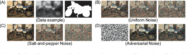 Figure 3 for Vision at A Glance: Interplay between Fine and Coarse Information Processing Pathways