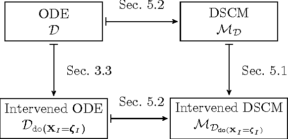 Figure 4 for From Deterministic ODEs to Dynamic Structural Causal Models