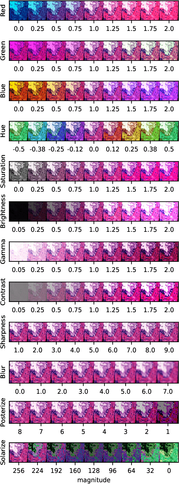 Figure 3 for Exposing and addressing the fragility of neural networks in digital pathology