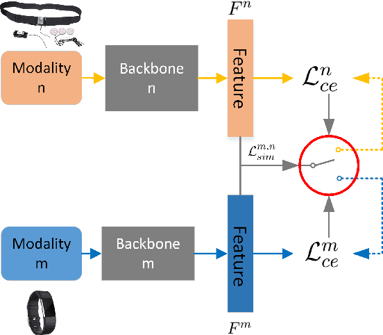 Figure 2 for More to Less : Enhanced Health Recognition in the Wild with Reduced Modality of Wearable Sensors