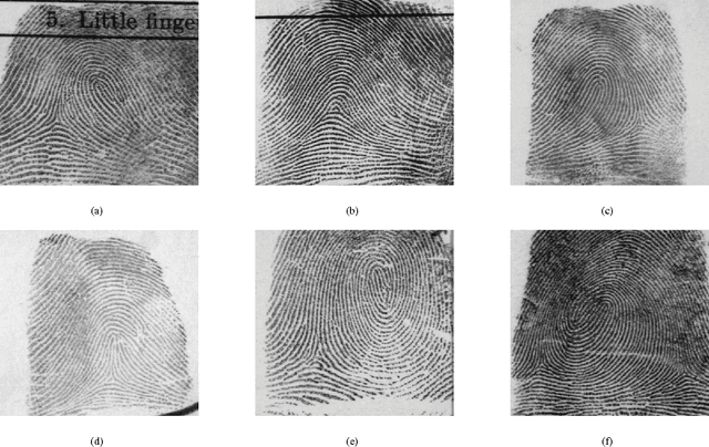Figure 1 for Fingerprint Classification Based on Depth Neural Network
