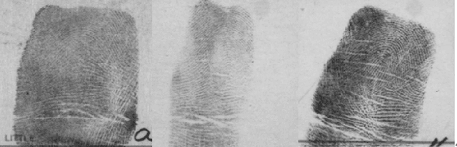 Figure 3 for Fingerprint Classification Based on Depth Neural Network