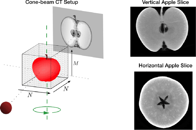 Figure 2 for Parallel-beam X-ray CT datasets of apples with internal defects and label balancing for machine learning