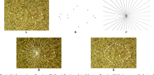 Figure 1 for Template-Cut: A Pattern-Based Segmentation Paradigm