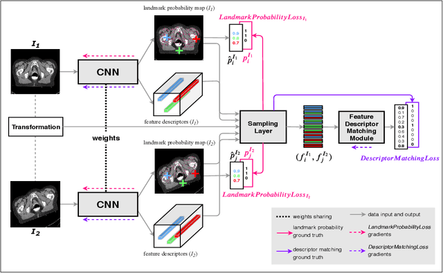 Figure 1 for An End-to-end Deep Learning Approach for Landmark Detection and Matching in Medical Images