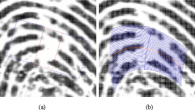 Figure 3 for Curved Gabor Filters for Fingerprint Image Enhancement