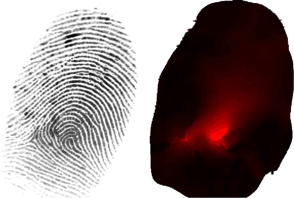 Figure 4 for Curved Gabor Filters for Fingerprint Image Enhancement