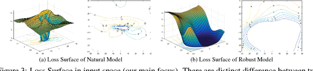 Figure 4 for Interpreting Adversarial Robustness: A View from Decision Surface in Input Space