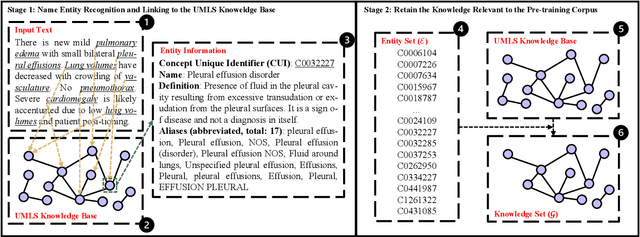 Figure 1 for Align, Reason and Learn: Enhancing Medical Vision-and-Language Pre-training with Knowledge