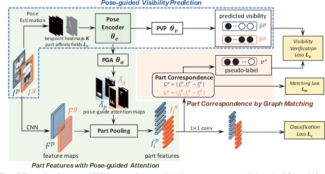 Figure 3 for Pose-guided Visible Part Matching for Occluded Person ReID