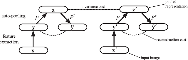 Figure 3 for Auto-pooling: Learning to Improve Invariance of Image Features from Image Sequences