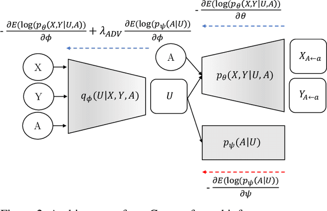 Figure 2 for Adversarial Learning for Counterfactual Fairness