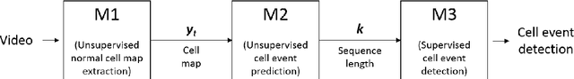 Figure 1 for Semi-supervised estimation of event temporal length for cell event detection