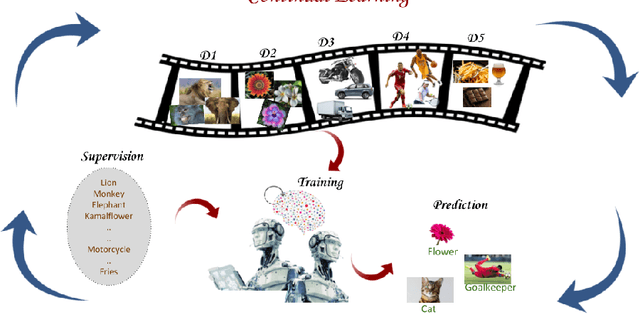 Figure 1 for Continual Learning in Neural Networks