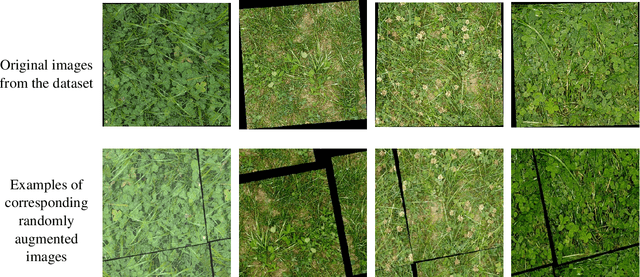 Figure 2 for Extracting Pasture Phenotype and Biomass Percentages using Weakly Supervised Multi-target Deep Learning on a Small Dataset
