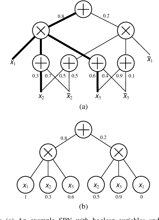 Figure 1 for Deep Compression of Sum-Product Networks on Tensor Networks