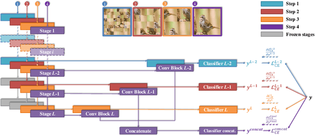 Figure 3 for Fine-Grained Visual Classification via Progressive Multi-Granularity Training of Jigsaw Patches