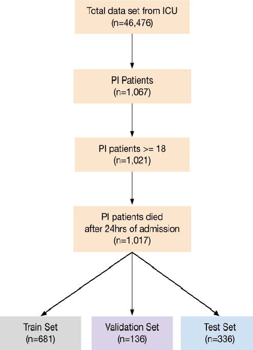 Figure 3 for Process Mining Model to Predict Mortality in Paralytic Ileus Patients