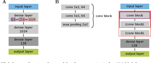 Figure 3 for Interpolation, extrapolation, and local generalization in common neural networks