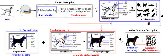 Figure 1 for Introducing the structural bases of typicality effects in deep learning