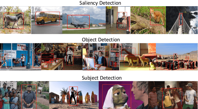 Figure 1 for ImageSubject: A Large-scale Dataset for Subject Detection