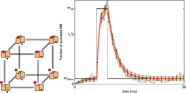 Figure 2 for Toward Biochemical Probabilistic Computation