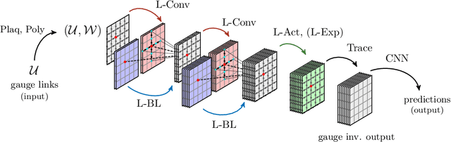 Figure 1 for Lattice gauge equivariant convolutional neural networks
