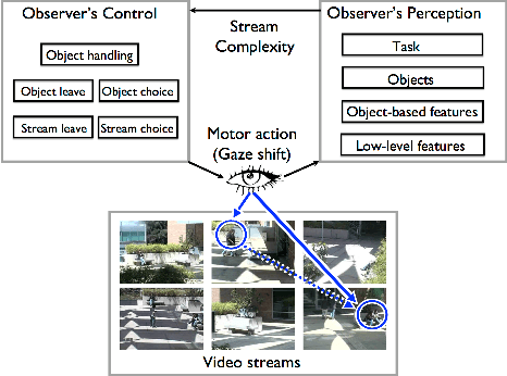 Figure 1 for Attentive monitoring of multiple video streams driven by a Bayesian foraging strategy
