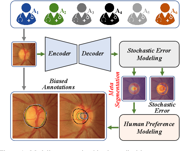 Figure 1 for Modeling Human Preference and Stochastic Error for Medical Image Segmentation with Multiple Annotators