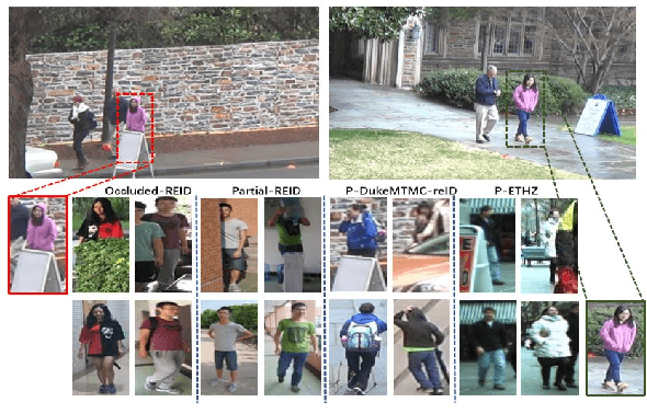 Figure 1 for A Novel Teacher-Student Learning Framework For Occluded Person Re-Identification