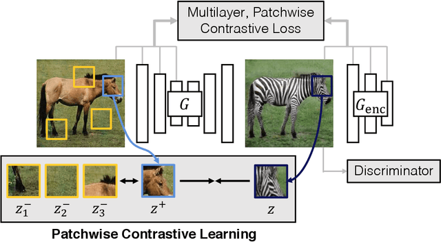 Figure 1 for Contrastive Learning for Unpaired Image-to-Image Translation