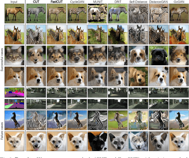 Figure 4 for Contrastive Learning for Unpaired Image-to-Image Translation