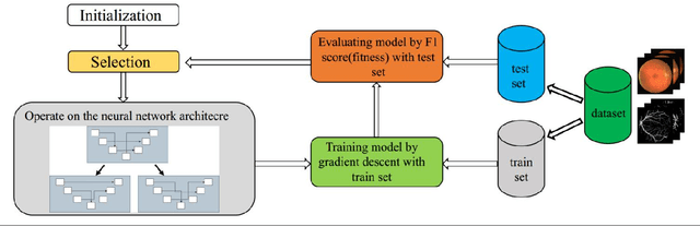 Figure 1 for ENAS U-Net: Evolutionary Neural Architecture Search for Retinal Vessel Segmentation