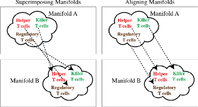 Figure 1 for MAGAN: Aligning Biological Manifolds