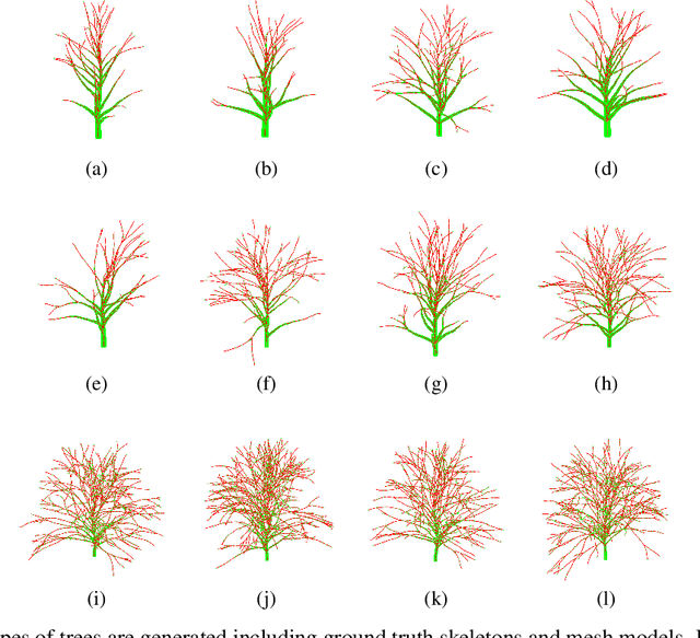 Figure 2 for A novel tree-structured point cloud dataset for skeletonization algorithm evaluation
