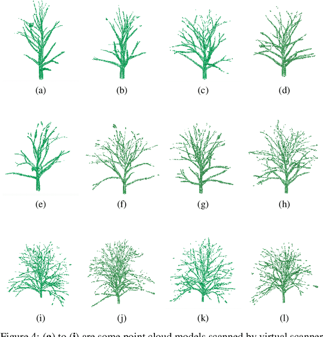 Figure 4 for A novel tree-structured point cloud dataset for skeletonization algorithm evaluation