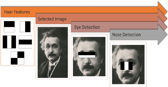 Figure 3 for Understanding bias in facial recognition technologies