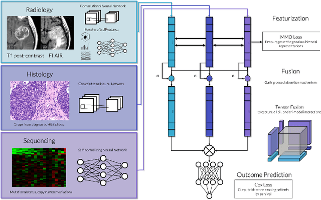 Figure 1 for Deep Orthogonal Fusion: Multimodal Prognostic Biomarker Discovery Integrating Radiology, Pathology, Genomic, and Clinical Data