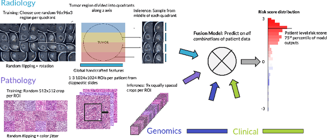 Figure 3 for Deep Orthogonal Fusion: Multimodal Prognostic Biomarker Discovery Integrating Radiology, Pathology, Genomic, and Clinical Data
