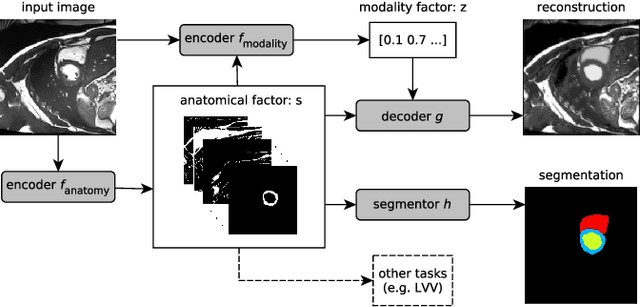 Figure 1 for Factorised Representation Learning in Cardiac Image Analysis